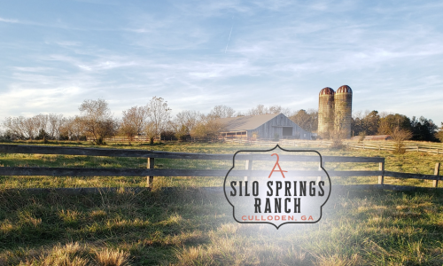 Silo Springs Ranch